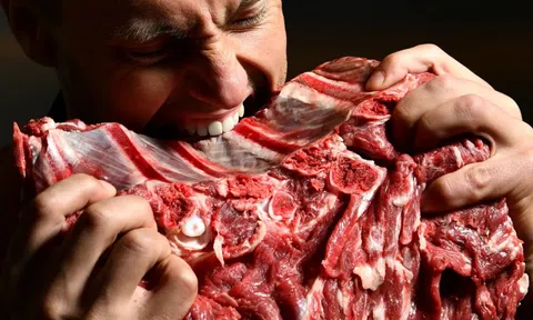 Tại sao con người ăn thịt của động vật ăn cỏ nhiều hơn động vật ăn thịt?